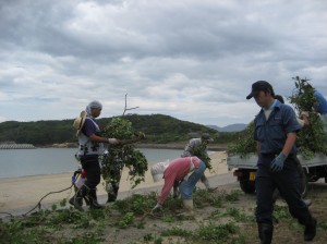 130929 網地島②海岸作業風景