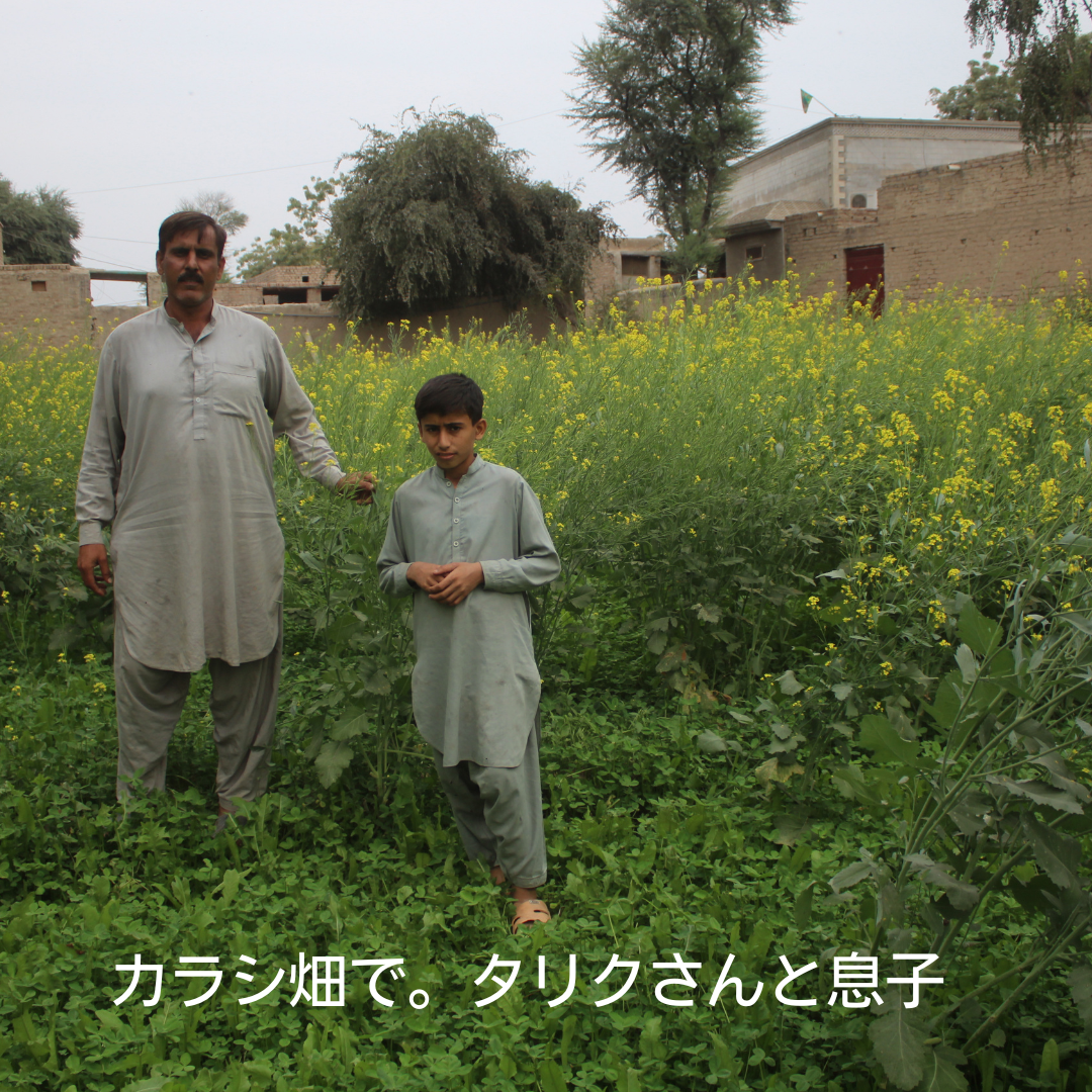 AF_20250529_2