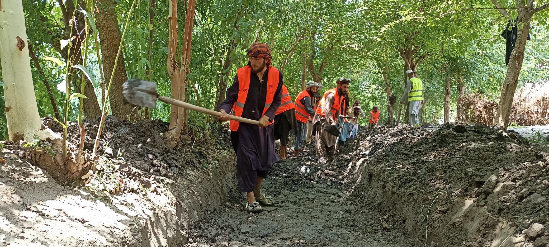 WhatsApp画像 2025-07-17 19.52.28_98441d46