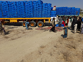 Image of livestock feed for distribution piled on trucks