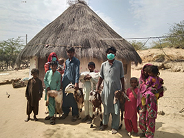 Photo of a farmer household that had suffered from pest damage, taken during 