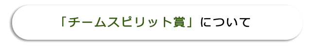 「チームスピリット賞」について