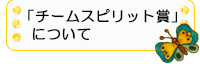 チームスピリット賞について