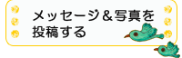 メッセージ&写真を投稿する